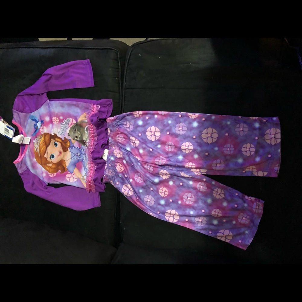 Sophia the great pajamas and book.